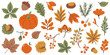 © Tetiana Komarytska - Set of autumn leaves and branches from different trees: maple, oak, aspen, chestnut. Simple flat falling yellow, green, brown, orange autumn leaves. Vector illustration on white background.