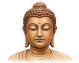 A color head of the sandstone color buddha image on white background