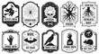 © Sabbir Art Express - Halloween potion labels with witches spiders skulls bats and rats vector