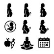 © Svitlana - Pregnancy Stages Icons. Solid, filled icon set of pregnancy stages: first trimester, second trimester, third trimester, fetal
