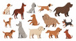 © imran - A large collection of popular dog breeds and cute puppies. Modern flat vector graphic set of different canine characters isolated on white.