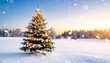 © grs - Decorated Christmas tree in snowy field at sunrise
