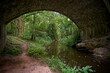 © Milan - Židova Strouha Stream in South Bohemia, Czech Republic – Summer Landscape with Rocks, Lush Vegetation and Stone Bridge