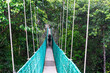 © cn0ra - Rear view of a man at suspension bridge in tree top canopy walkway in Danum rain forest Lahad datu