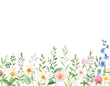 © wanna - Colorful spring flowers with butterflies on a white background, perfect for a floral nature garden design illustration