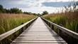 © Syahidan Akbar - Wooden Boardwalk Through Lush Greenery and Reeds.