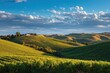 © Omnix - Tuscany vineyard hills with farmhouse under a scenic sky for tourist promotions