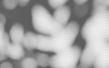 Wall Mural - abstract shadow overlay from foliage tree branch on a transparent background.
