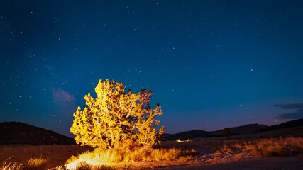 Wall Mural - Sunset to Milky Way time lapse with a juniper tree in the foreground of Utah's West Desert landscape