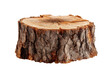 © Dubel - Log slice displaying natural wood texture studio product photo. Isolated on transparent background, png.