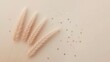 © MSTAIRIN - Minimalist beige background with pampas grass and golden glitter, creating a bohostyle, soft and elegant aesthetic with copy space