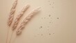 © MSTAIRIN - Minimalist beige background featuring pampas grass and glitter, creating a soft, elegant, and natural aesthetic with copy space