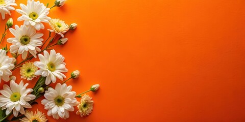Wall Mural - a vibrant orange background features an arrangement of white flowers in a unique a frame design