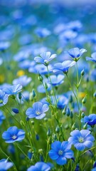 Wall Mural - Velvety Blue Flax Blossoms Cascade Across Expansive Natural Panorama