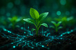 © NongEngEng - AI generated young green seedlings growing in fertile soil with glowing digital connections representing smart farming technology and the fusion of nature and innovation