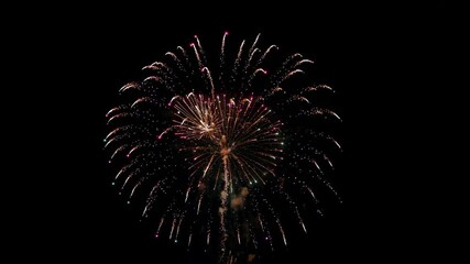 Wall Mural - fireworks in the night sky with a black background