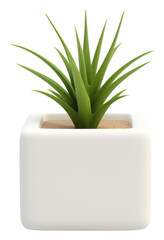 Wall Mural - modern minimalist succulent decor