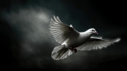 Wall Mural - captivating perspective of a white dove ascending gracefully set against an ominous dark environment
