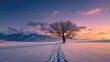 © Ramadhan - A lone tree stands sentinel on a snow-covered plain at winter sunset, with mountains in the background.  Soft light bathes the scene in vibrant hues