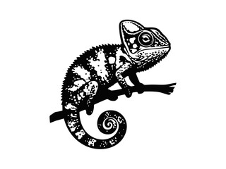 Wall Mural - vector isolated one single chameleon on a branch side view colorless black and white contour line ea