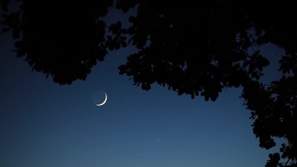 Wall Mural - crescent young moon with stars, planets and rural countryside tree silhouettes.