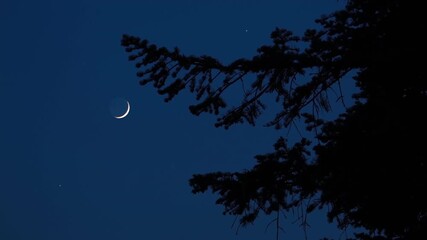 Wall Mural - crescent young moon with stars, planets and rural countryside tree silhouettes.
