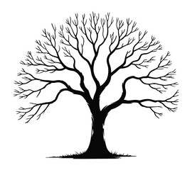 Leafless tree silhouette with intricate branching and rounded form, ideal for nature-inspired visuals or seasonal design themes.