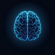 © 陈佳乐 - Neon Blue Outline of a Human Brain on Dark Background