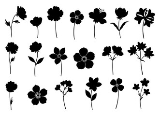 Wall Mural - Collection of black vector flower silhouettes – Set of simple wildflowers for decoration, isolated on transparent background
