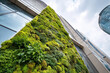 © Alina - Vertical moss wall enhances urban environment by absorbing carbon dioxide