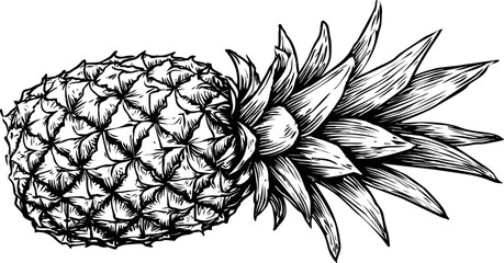 Wall Mural - black and white illustration of a detailed pineapple design. vector illustration