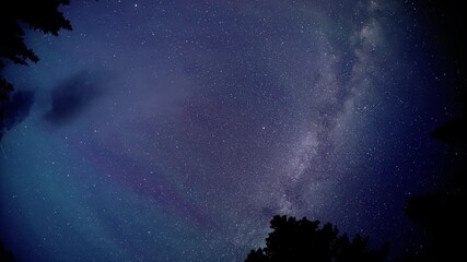 Wall Mural - a fisheye view looking up at the miky way rotating through the night sky with trees along the outsid