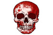 © royaldudegfx - Red skull illustration horror halloween spooky design