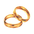 © Alena - Wedding gold rings watercolor illustration hand drawn. Isolated composition for use in wedding invitation design, in printing, on greeting cards. A pair of round rings from the atmosphere of romance