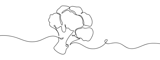Wall Mural - Simple hand drawn continuous vector line of broccoli isolated on transparent background. stroke editable