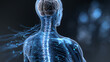 © Arfuu - Detailed medical illustration of human nervous system, showcasing brain and spinal cord with glowing neural pathways, highlighting complexity and connectivity of system