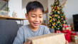 © Florian Dussart - Happy and excited young boy opening a present on Christmas morning at home