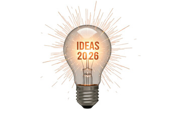 Wall Mural - Light bulb idea