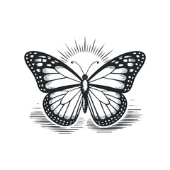 Wall Mural - Black and White Butterfly Resting with Wings Open in Graphic Style