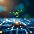 © Wanda - seed growing into branching lines, Emerging Technology and Growth Concept A Sprout in a Networked Ecosystem