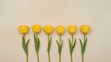 Wall Mural - A straight row of vivid yellow tulips displayed on a light stone texture. Bird's eye view with space for copy.