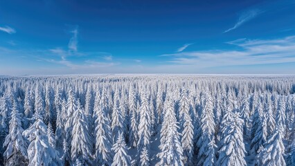 Wall Mural - magnificent drone perspective of a frosty forest, perfect for seasonal nature backgrounds