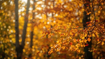 Wall Mural - defocused fall leaves featuring a luminous bokeh effect