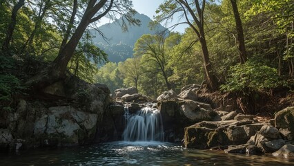 Wall Mural - charming little falls set amidst lush forest, water, summer, travel, nature, tree, spring, scenery, 