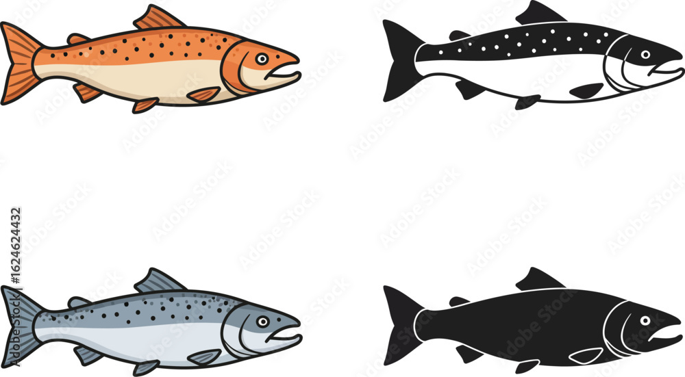 Four distinct illustrations of salmon fish showing different colors ...