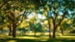 © Mochi - Blurry park scene, sunlight through trees