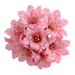 Wall Mural - Artificial pink lily bouquet isolated on white background