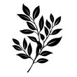 © Dn Design - black leaves laurel vector, Black laurel leaves arranged in a vector graphic, isolated on transparent background