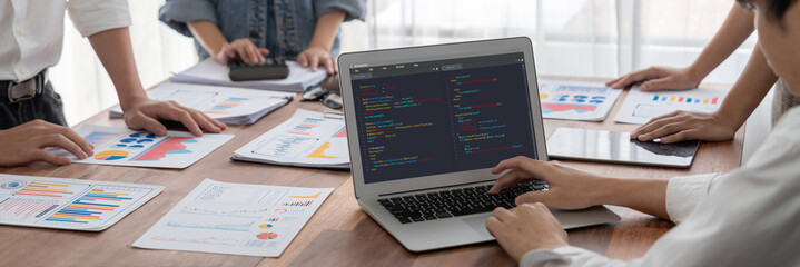 Software development programming on computer screen for brisk application and program coding