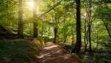 sun dappled forest path winds through lush green canopy dappled sunlight filtering through leaves creating magical atmosphere perfect for summer nature travel and adventure themes light flora
